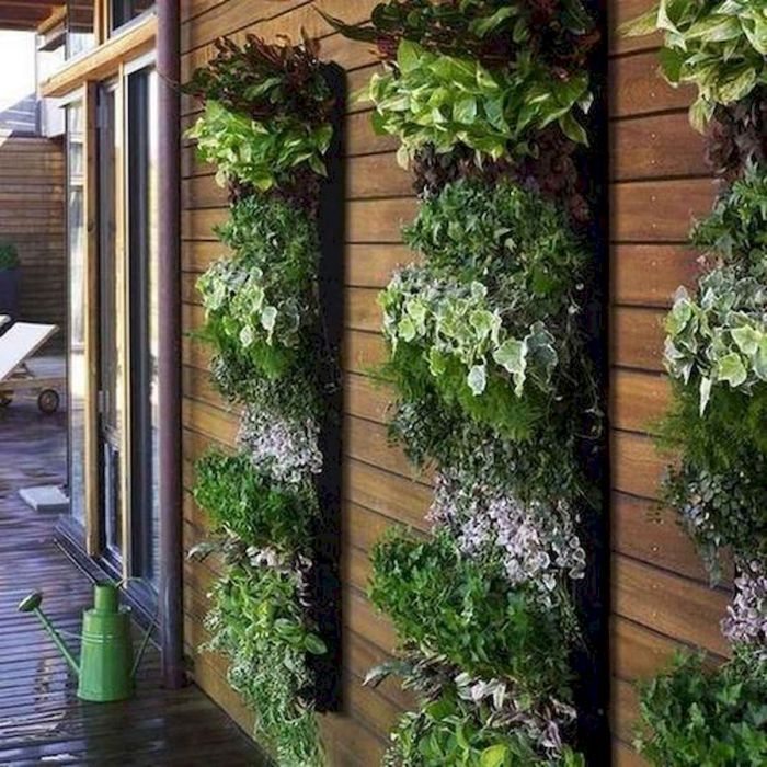 Vertical garden ideas fantastic make beautiful gardening