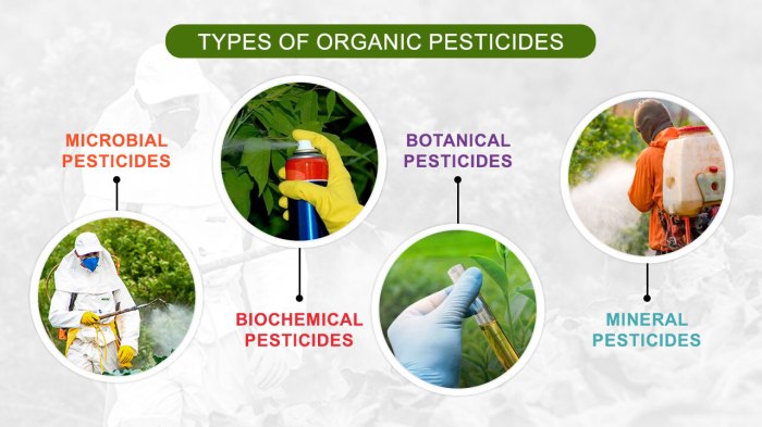 Synthetic fertilizers what need know source